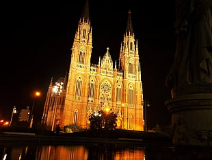 brown cathedral, cityscape, night, La Plata, cathedral HD wallpaper