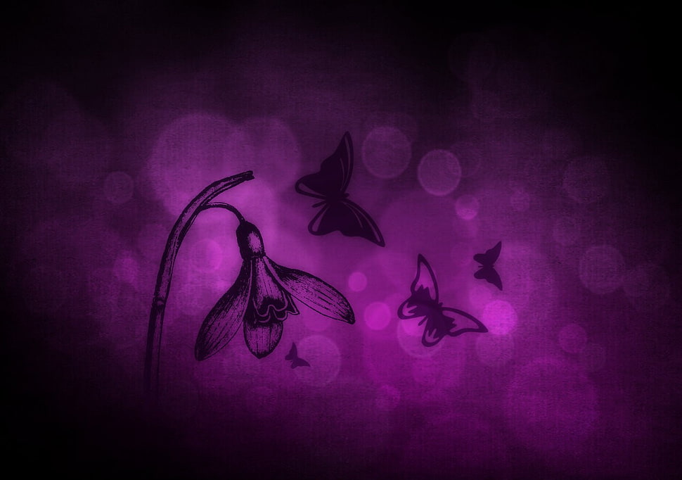 purple and black butterflies illustration, abstract, flowers, butterfly, purple HD wallpaper