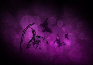 purple and black butterflies illustration, abstract, flowers, butterfly, purple