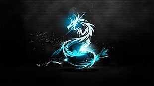 blue and white dragon digital wallpaper