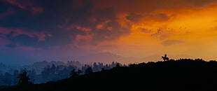 silhouette of mountain digital artwork wallpaper, The Witcher 3: Wild Hunt, landscape, sunset