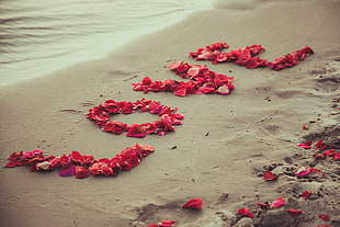 pink flowers in the sand saying LOVE
