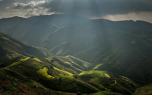 green mountain, nature, landscape, rice paddy, sun rays