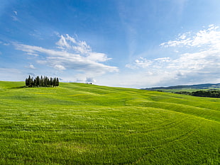 landscape photography of a green field