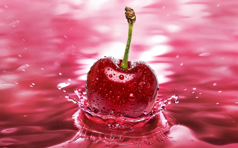 close-up photography of Cherry fruit dump on water HD wallpaper