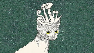 white cat with mushroom growing on its head drawing