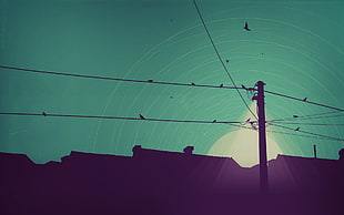 silhouette of electric post during daytime, artwork, sky, rooftops, birds