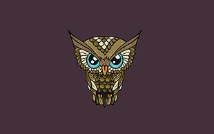 brown owl illustration