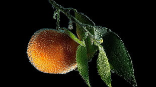 orange with water dew