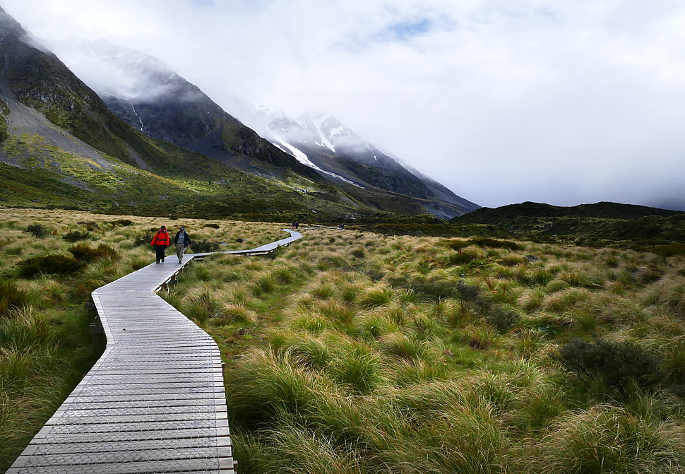 couple walking on a bridge, nz HD wallpaper