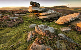 gray rock, landscape, stones, field, rock HD wallpaper