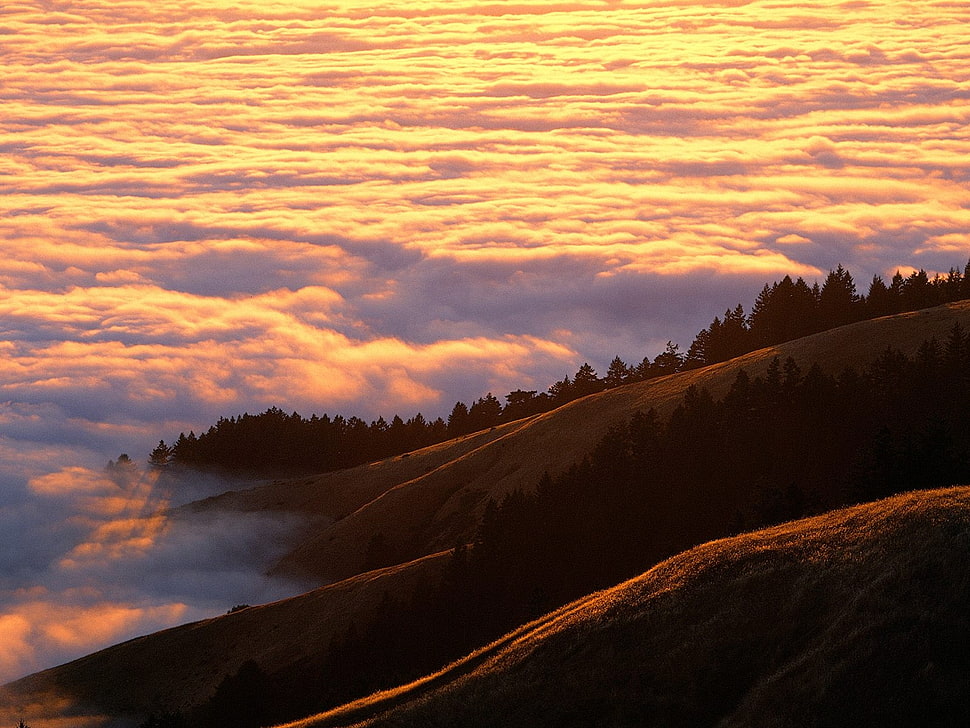 photography of mountain during sunset HD wallpaper