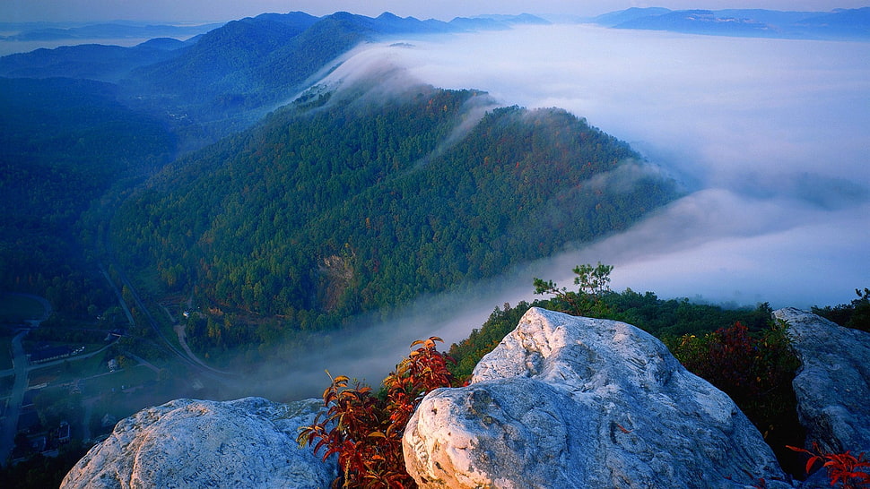 green mountains, landscape HD wallpaper