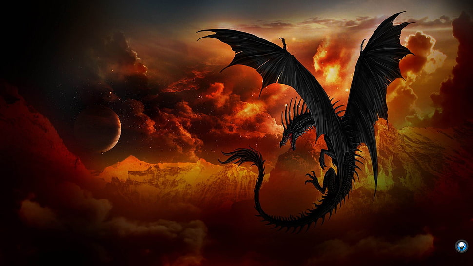 black dragon digital wallpaper, dragon HD wallpaper