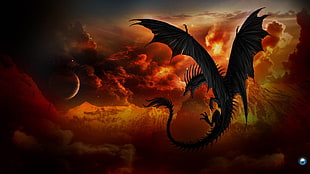 black dragon digital wallpaper, dragon