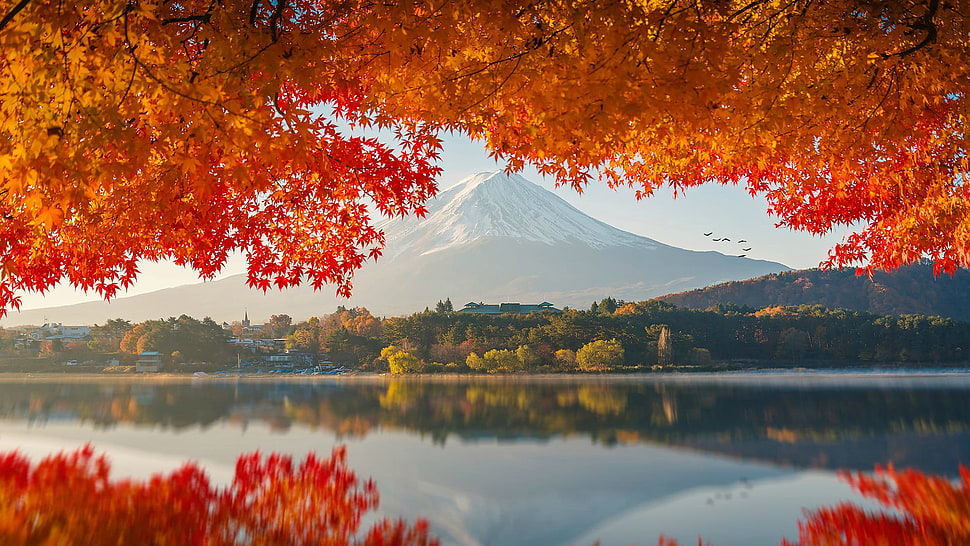 snow-capped mountain, photography, Japan, Mount Fuji HD wallpaper