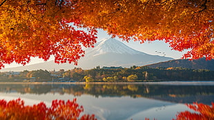 snow-capped mountain, photography, Japan, Mount Fuji