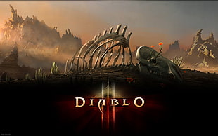 Diablo 3 graphic wallpaper, Diablo III