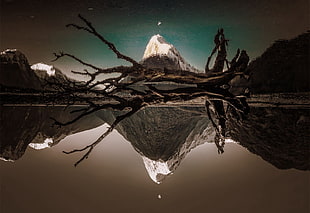 mountain alps and drift wood, nature, reverse, landscape, reflection HD wallpaper