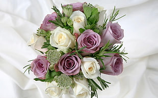 pink and white rose flowers
