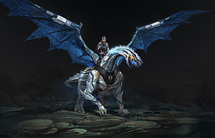 man riding gray dragon illustration HD wallpaper