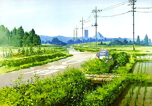 painting of rice field at daytime HD wallpaper