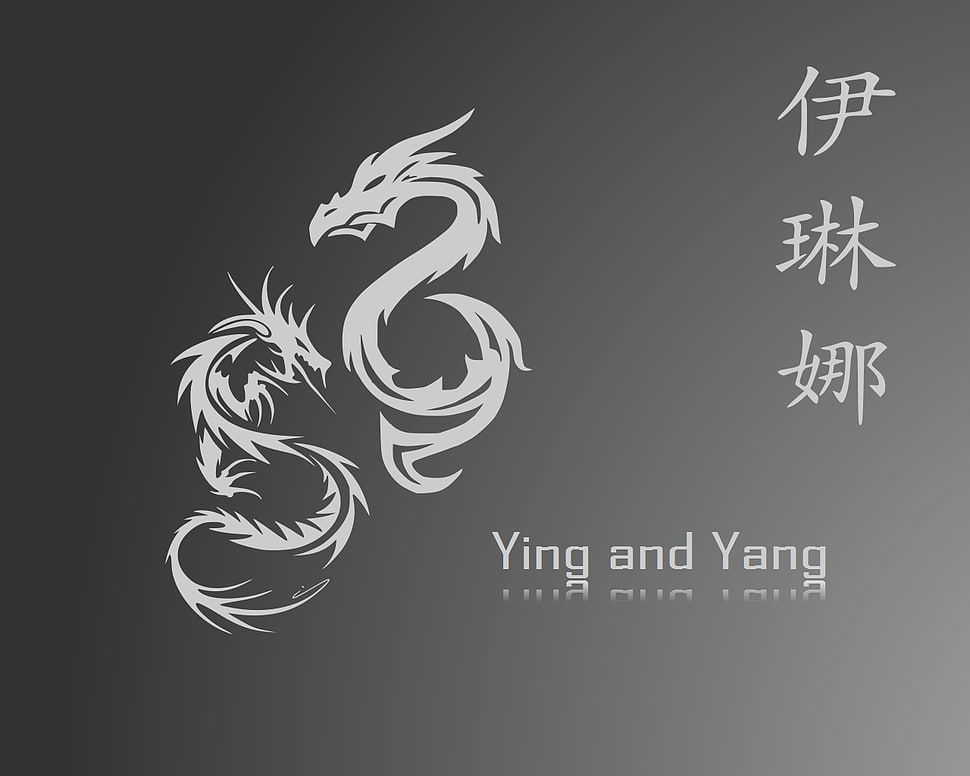 gray background with ying and yang text overlay, Yin and Yang, Chinese HD wallpaper