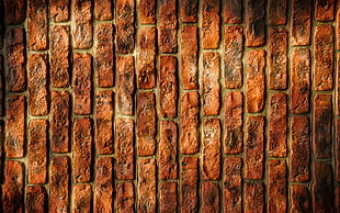 pile of brown bricks wall theme