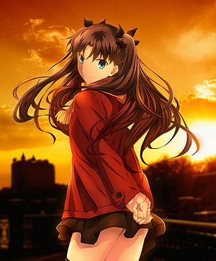 female anime character during golden hour HD wallpaper
