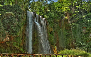 waterfalls surrounded by trees, landscape, nature