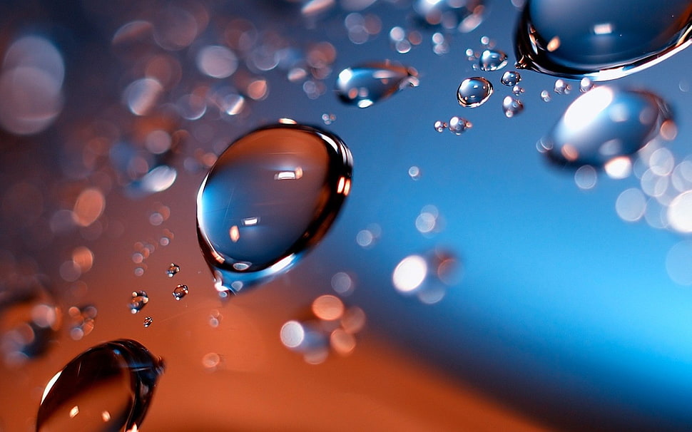 water drops close up photography HD wallpaper