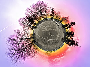 gray planet with trees illustration, panoramic sphere, sunset, trees HD wallpaper