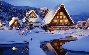 cabins surrounding snow