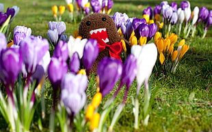 selective focus photography of Domo Kun on tulips flowers