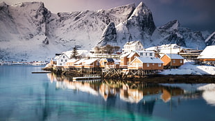 brown-and-white houses, sea, mountains, snow, house HD wallpaper