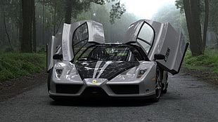 gray and black sports car, Ferrari, supercars, car, Enzo Ferrari