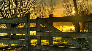 gray wooden fence during yellow sunset HD wallpaper
