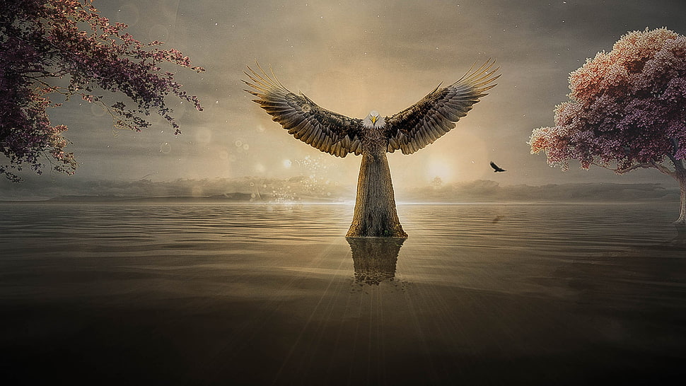 angel standing on water wallpaper HD wallpaper