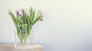clear glass vase, flowers HD wallpaper