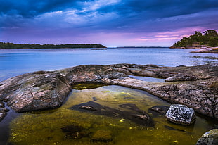 brown rocky sea shore photography, sweden HD wallpaper
