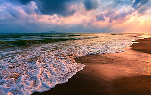 landscape photography of beach during sunrise