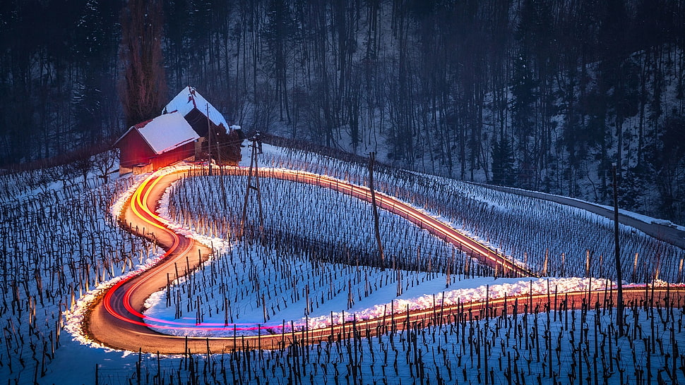 timelapse photography of heart-shape light during snow time, road, long exposure, winter, landscape HD wallpaper