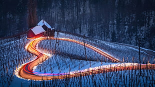timelapse photography of heart-shape light during snow time, road, long exposure, winter, landscape