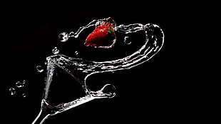 time lapse photography of water and berry