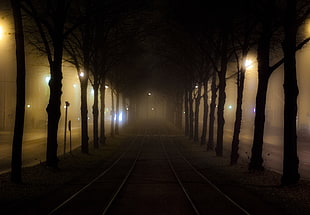 pathway with mist, tram HD wallpaper