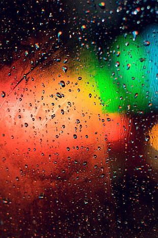  HD wallpaper