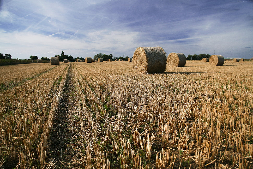 bale of hay under blue sky HD wallpaper