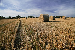 bale of hay under blue sky