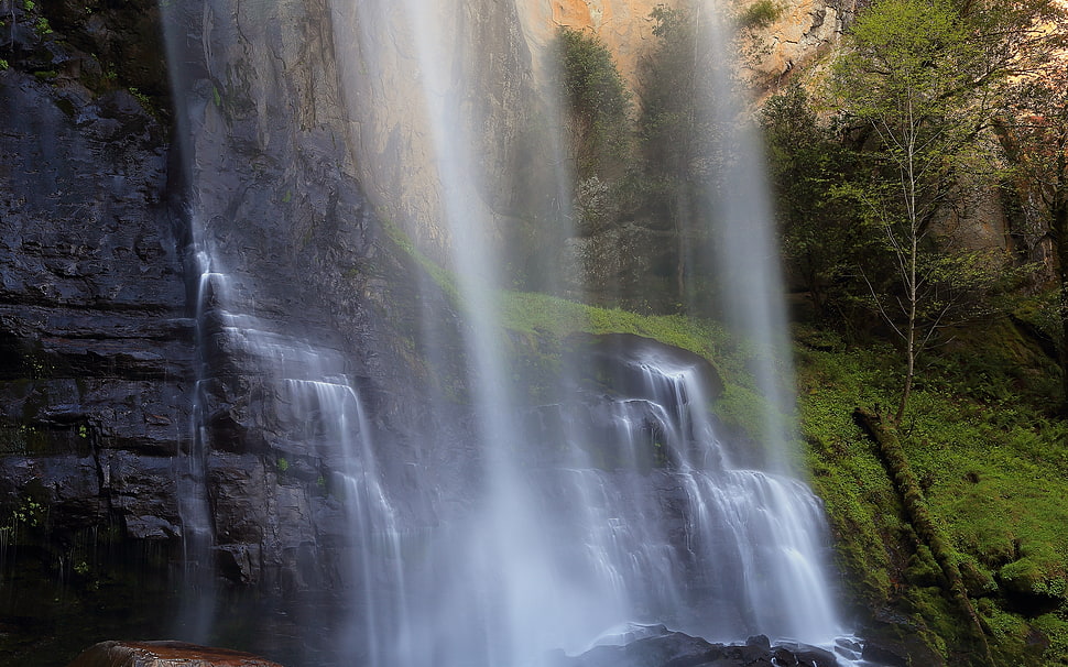 water falls surrounded with forest HD wallpaper