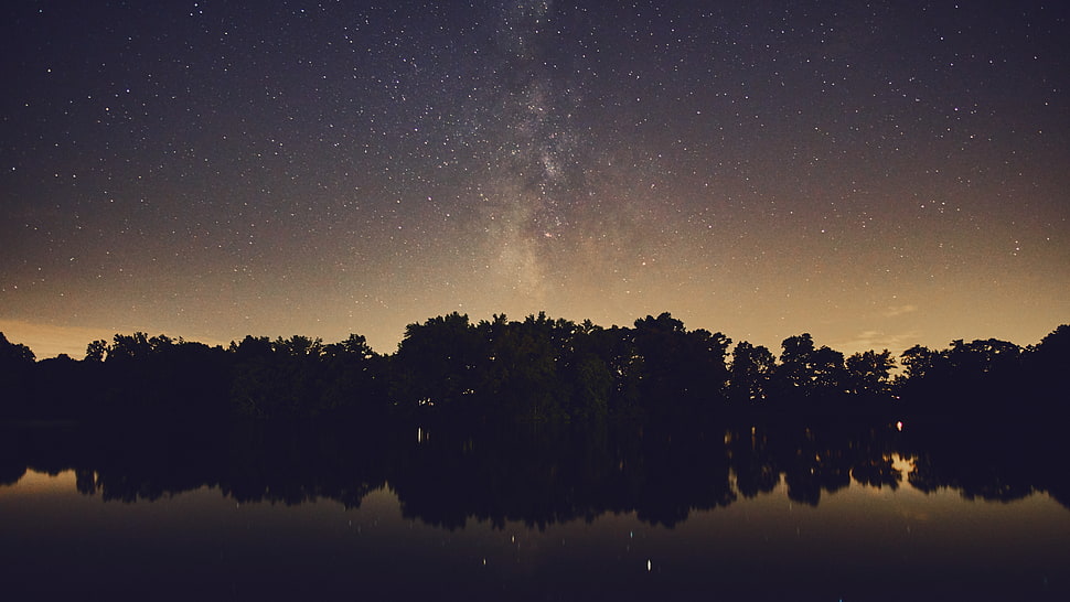 silhouette of trees near body of water, Milky Way, stars, water, nature HD wallpaper